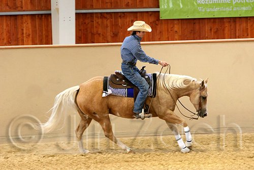 QH062_0895n.jpg