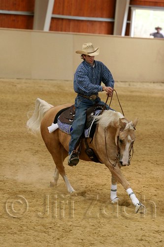QH062_0897n.jpg