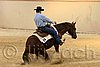 QH062_0776n.jpg