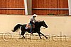 QH062_0798n.jpg