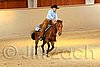 QH062_0829n.jpg