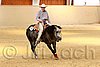 QH062_0841n.jpg