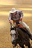 QH062_0858n.jpg