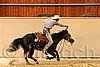 QH062_0866n.jpg