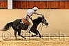 QH062_0867n.jpg