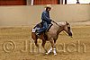QH062_0884n.jpg
