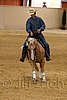 QH062_0889n.jpg