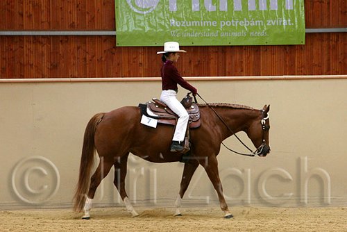 QH062_0479n.jpg