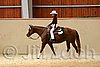 QH062_0475n.jpg