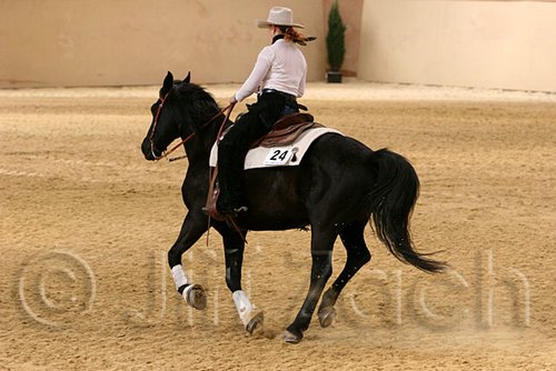 QH062_0658n.jpg