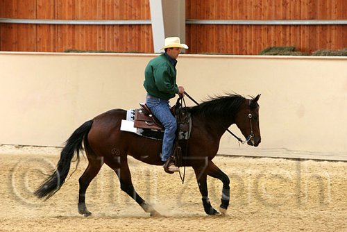 QH062_0668n.jpg