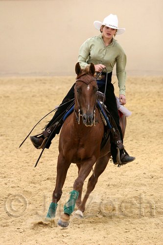 QH062_0695n.jpg