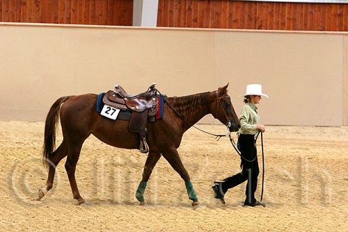 QH062_0696n.jpg