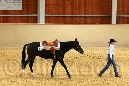 QH062_0713n.jpg