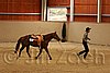 QH062_0650n.jpg
