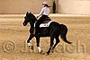 QH062_0658n.jpg