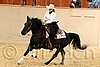 QH062_0661n.jpg