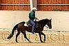 QH062_0668n.jpg