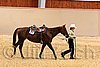 QH062_0696n.jpg