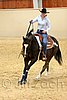 QH062_0709n.jpg