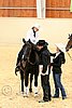 QH062_0721n.jpg