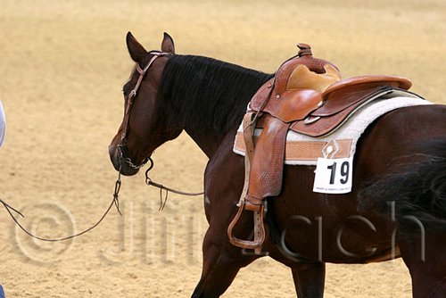 QH062_0501n.jpg