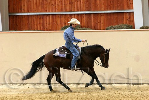 QH062_0511n.jpg