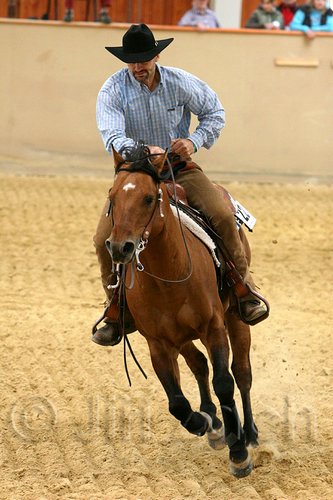 QH062_0561n.jpg
