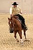 QH062_0541n.jpg