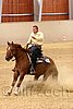 QH062_0544n.jpg