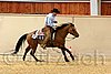 QH062_0559n.jpg