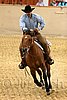 QH062_0561n.jpg