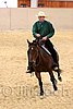 QH062_0583n.jpg