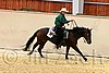 QH062_0584n.jpg