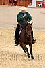 QH062_0585n.jpg