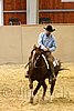 QH062_0603n.jpg