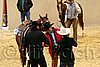 QH062_0626n.jpg
