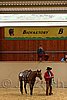 QH062_0631n.jpg