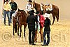 QH062_0634n.jpg
