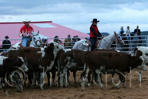 QH062_1586n.jpg