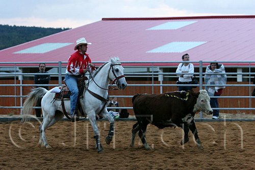 QH062_1595n.jpg