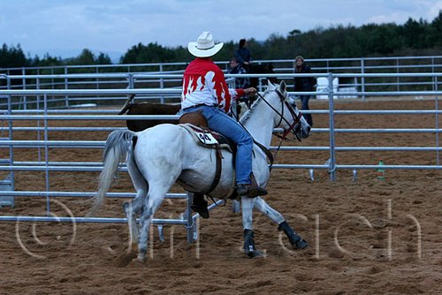 QH062_1598n.jpg