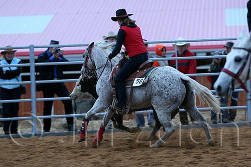 QH062_1604n.jpg