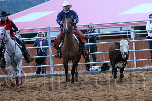 QH062_1606n.jpg