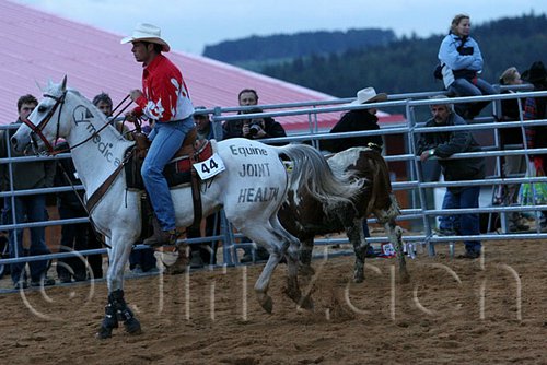 QH062_1610n.jpg