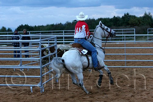 QH062_1612n.jpg
