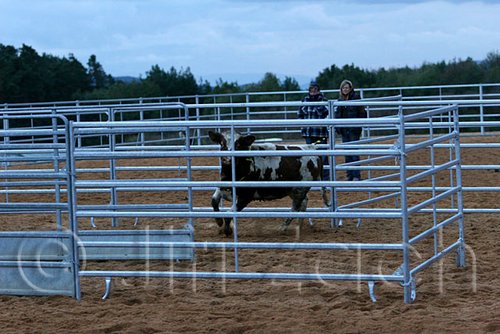 QH062_1613n.jpg