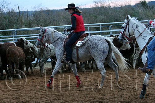QH062_1614n.jpg