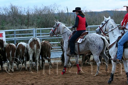 QH062_1615n.jpg