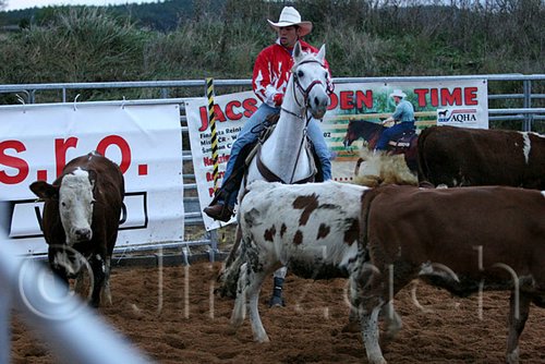 QH062_1616n.jpg